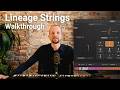 Video 2: Walkthrough