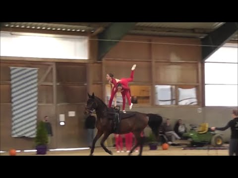 Voltigieren - 2. Turnier Ingelsberg 2024 - Gruppe Ampertal 2