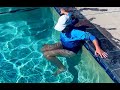 Quickly Fix Eggbeater & Breaststroke Kick: Stronger Eggbeater, Better Rotation with Zipper Drill