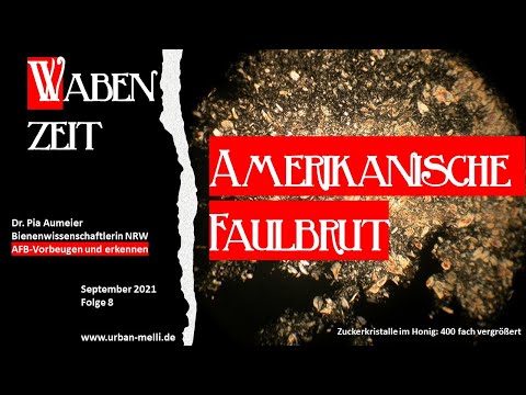 , title : 'Amerikanische Faulbrut-Vorbeugen und erkennen'
