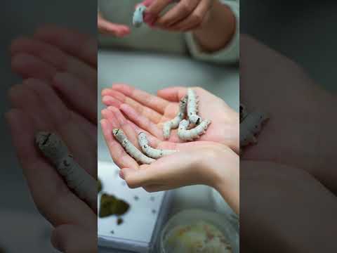 美術学科 生物生命学科の休み時間は他の学科と特に変わらない日常会話が・・・　#崇城大学　#青春　#休み時間