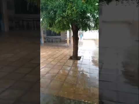 05/12/2025 chuva em Dom Leme, distrito de Santana do Cariri, Ceará.Vídeo @golberyms