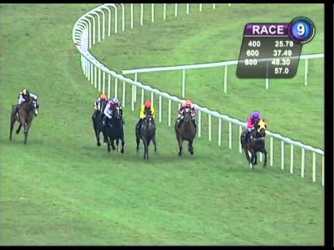 Three Rings Trophy 2011 (Better Than Ever)