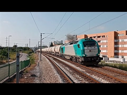 Cimento Alhandra - Maia (Leandro) - Alhandra