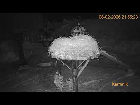 Gniazdo Bocianie pod Sokółką - 08.02.2026.