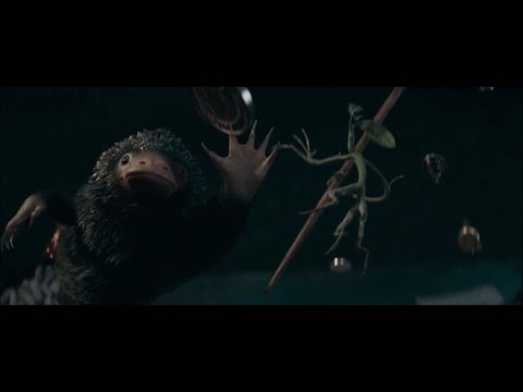 Niffler Funny Scene (Fantastic Beasts: The Secrets of Dumbledore)