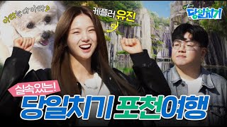반려견과 동반여행? 케플러 유진과 포천으로 떠나보시개!(실속 vs 여유 당일치기)