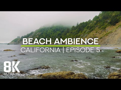 Beach Soundscape of the Pacific Ocean - 8K Scenic View to Enderts Beach, California - Episode 5