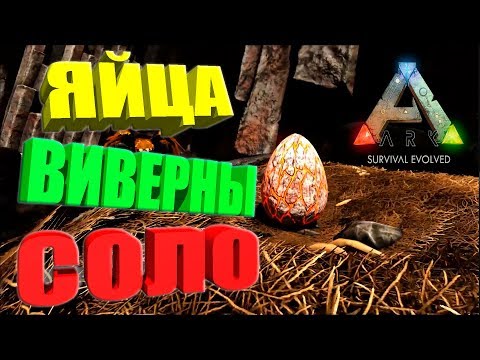 Кража оплодотворённых яиц виверны в соло ARK Survival Evolved