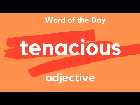 What does TENACIOUS mean?
