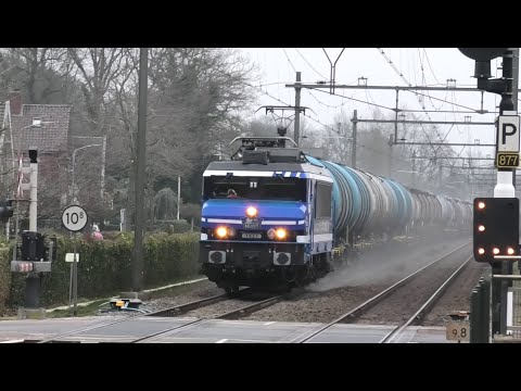RFO 1831 / 1931 – NVBS 95th Anniversary Locomotive Passing Twello Station