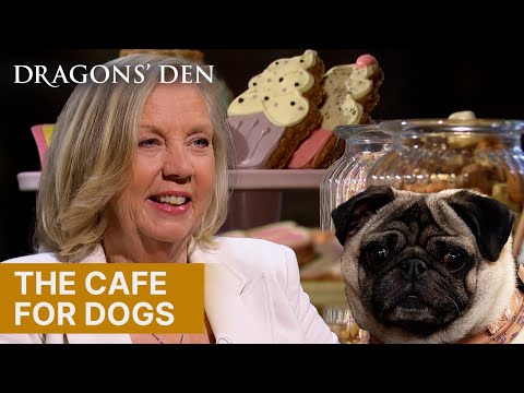Social Events For Dogs And Their Owners | Dragons' Den
