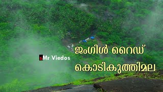 preview picture of video 'Jungle raide Kodikuthimala | smr travel videos'