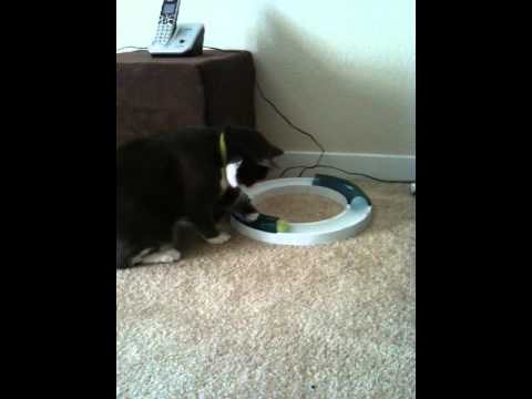 Shahrukh Khan and his toys