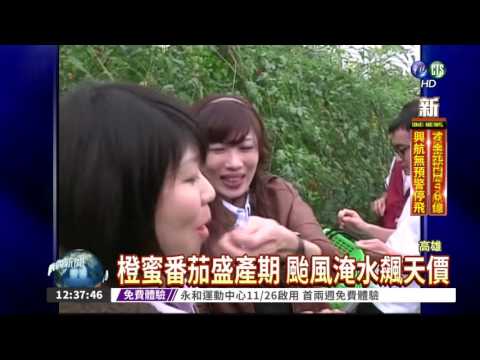 1公斤410元! 橙蜜番茄飆天價