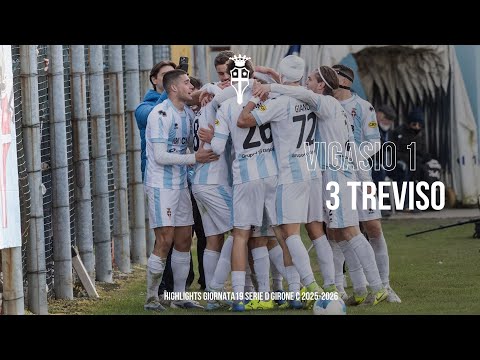 VIGASIO Vs TREVISO - HIGHLIGHTS - Giornata 19 serie d girone c 2025-2026