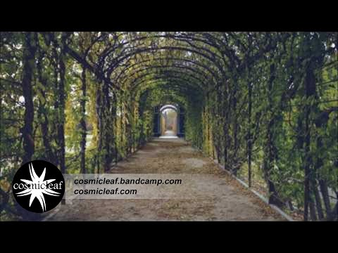 Corridors - Mixed by Side Liner #Chillout #Psychill #Relax