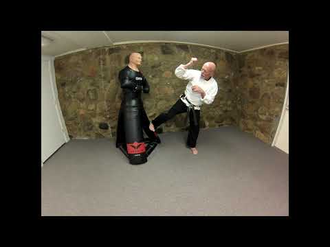 American Combato | Lesson #7 | The Side Kick, Chin-Jab Attack Combination