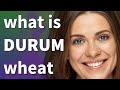 Durum wheat | meaning of Durum wheat