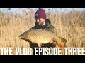 A Bleak January Total Carp Vlog EP3