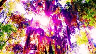 Capture the Moment EVENT, Grace Potter Driving Blind THOR GARY MLR