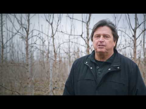 Growing Forward 2 brings new life to Ontario pear-growing