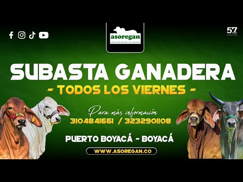 Subasta Ganadera Asoregan🐂🚛 Julio 24 de 2026