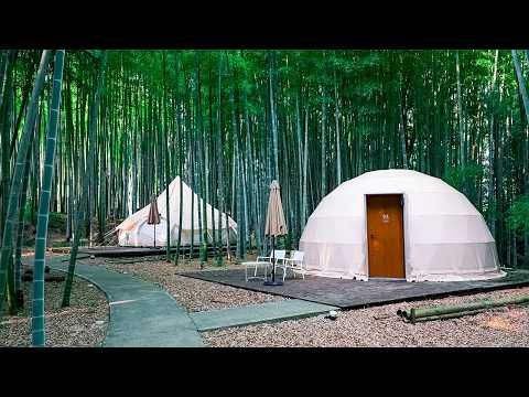 Glamping in Japan with a Bamboo Grove and Free-Roaming Animals | THE BAMBOO FOREST