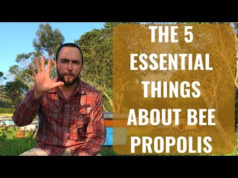 , title : 'The 5 things you need to know about Bee Propolis'