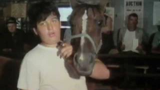 Classic Sesame Street - The Auction