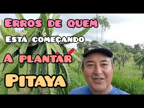 , title : 'Erros de quem está começando a plantar pitaya'
