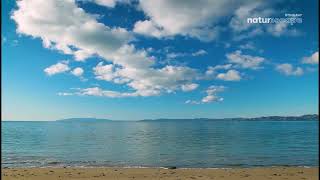 Stingray Naturescape 4K (August 25, 2025)