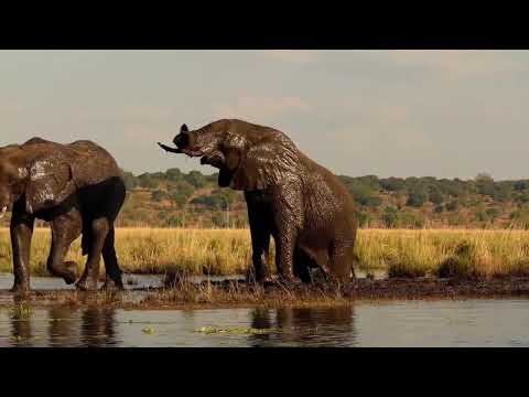 Namibia  Botswana Rundreise 2023