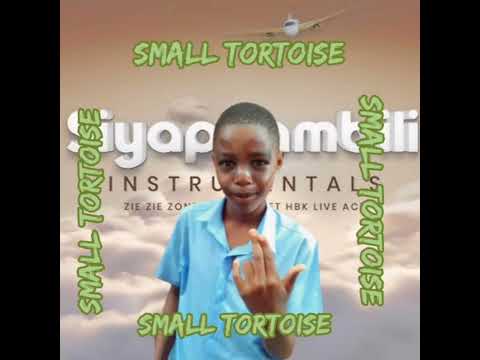 BANG Hurtile  small tortoise58 x sweggah nator x madowesh