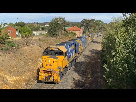 7732V Ararat 11/03/2024