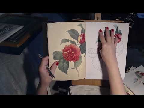 The Beauties of Nature colouring  painting in W&N water colour