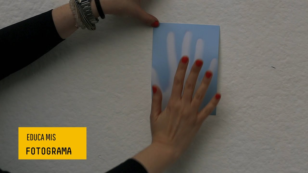 Fotograma, o que é? | EDUCA MIS