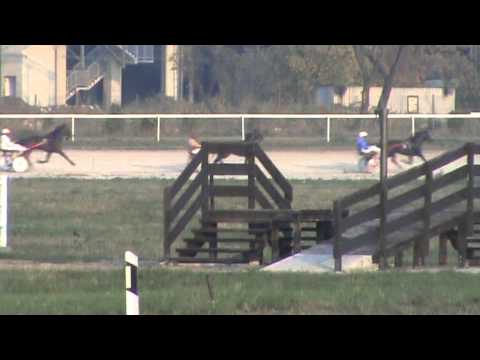 Београд Октобар четрнаести, 2012,трка Ауро, 2200 гума