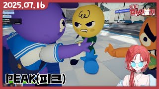 [2025/07/16 PEAK(피크) (w.끠월마녀, 어화둥둥이, 하쁘)]