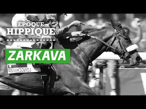 L'histoire de Zarkava : une envolée spectaculaire | Époque Hippique | PMU