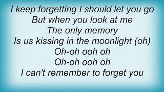 Shakira - Can't Remember To Forget You Lyrics