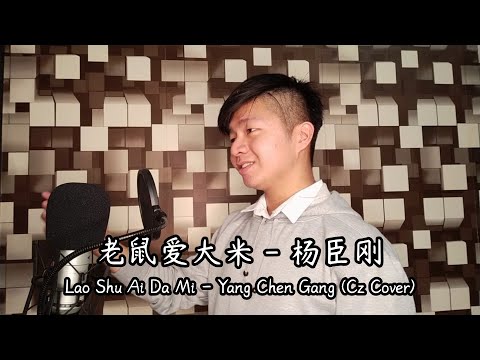 老鼠爱大米 (Lao Shu Ai Da Mi) - 杨臣刚 (Yang Chen Gang) | Cz Cover