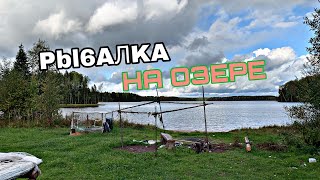 Когда можно ловить окуня в ленинградской области