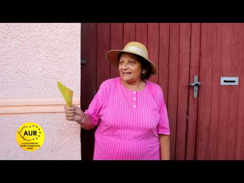 Marius Toparcean candidat primaria Sebes