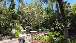 Episode 15: Strength in Meekness