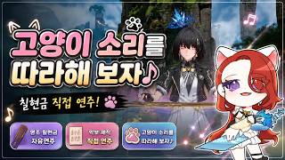 고양이 소리를 따라해 보자 직접 연주해봤습니다!｜명조 연주