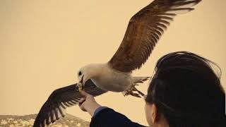 İKİNCİ EL UMUTLAR ''ROMAN''