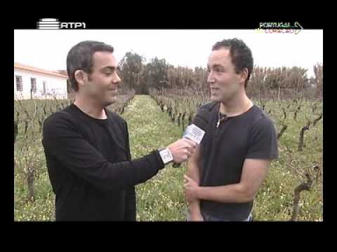 Gonçalo Tavares - Entrevista - Portugal no Coração