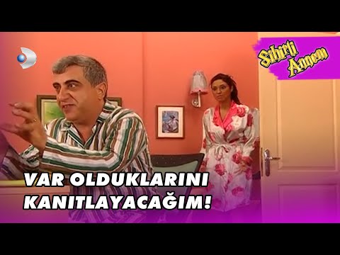 Avni, Perilerle Kafayı Bozdu!   -  Sihirli Annem  25. Bölüm