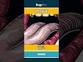tongue - 舌头 video thumbnail